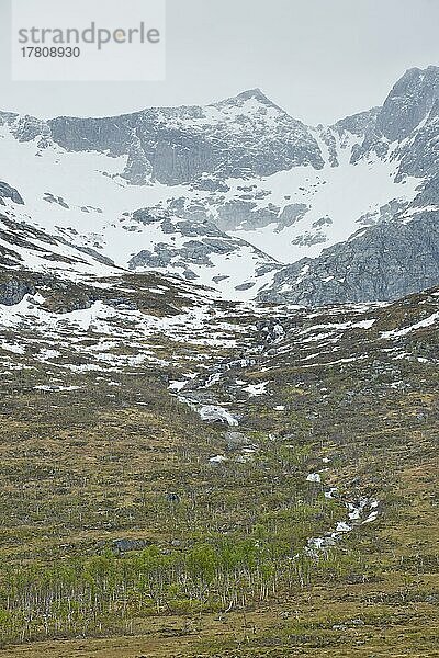 Landschaft am Nordfjordbotn  Lofoten  Norwegen  Europa