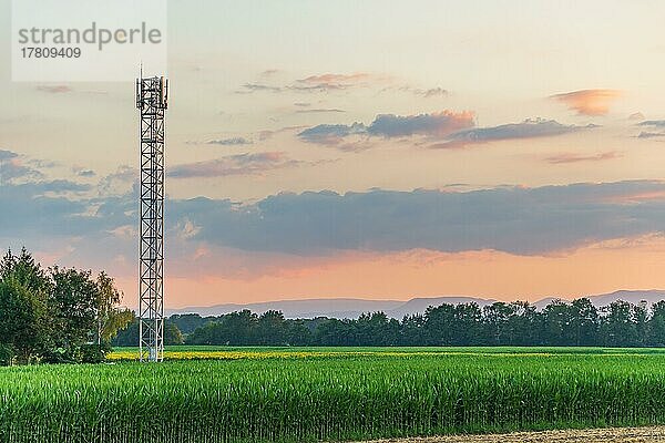 Telekommunikationsantenne auf dem Lande im Sommer bei Sonnenuntergang. Elsass  Frankreich  Europa