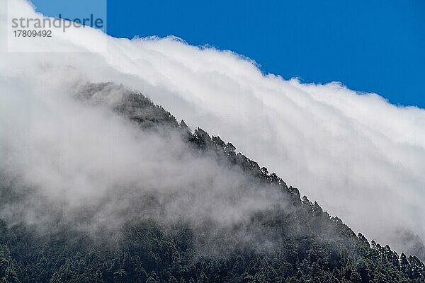 Passatwolken strömen über die Berge der Cumbre Nueva  Insel La Palma  Kanarische Inseln  Spanien  Europa