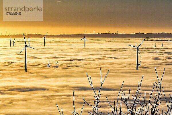 Windräder ragen aus Wolkendecke  Windkraftwerk  kahle Zweige im Winter  Silhouetten bei Sonnenuntergang  Köterberg  Lügde  Weserbergland  Nordrhein-Westfalen  Deutschland  Europa