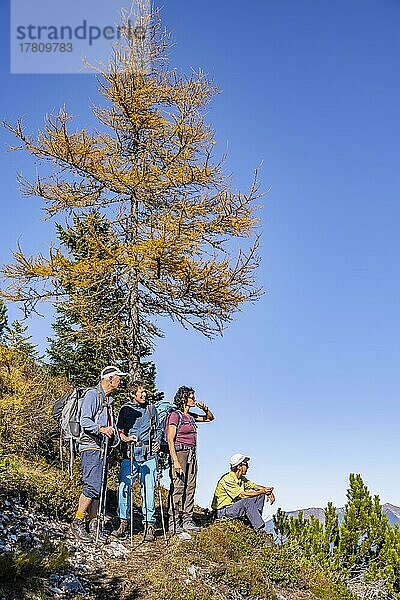Gruppe Wanderer im Herbst  Wanderweg zur Arnspitze  bei Mittenwald  Bayern  Deutschland  Europa