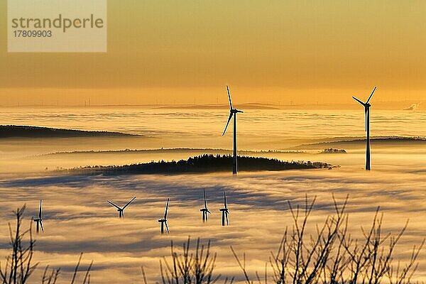 Windräder und Wald ragen aus Wolkendecke  Windkraftwerk  kahle Zweige im Winter  Silhouetten bei Sonnenuntergang  Köterberg  Lügde  Weserbergland  Nordrhein-Westfalen  Deutschland  Europa