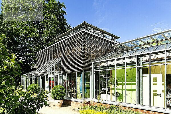 Palmenhaus mit Café im botanischen Garten  Stadtpark  Gütersloh  Ostwestfalen  Nordrhein-Westfalen  Deutschland  Europa