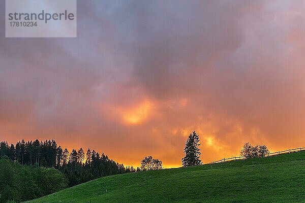Oranger Himmel bei Sonnenuntergang im Schwarzwald. Baden-Württemberg  Deutschland  Europa