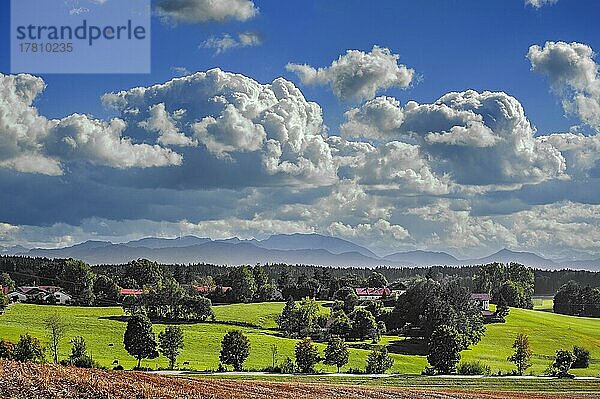 Kumulus  Haufenwolken (Cumulus)  Quellwolken  im Voralpenland bei München  Oberbayern  Bayern  Deutschland  Europa