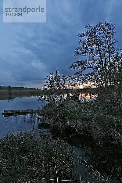 Abendstimmung an der Peene  Blaue Stunde  Naturpark Flusslandschaft Peenetal  Mecklenburg-Vorpommern  Deutschland  Europa