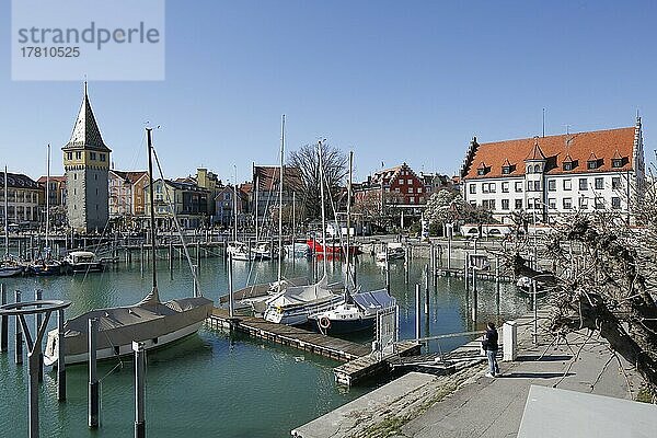 Hafen mit Mangturm  Lindau am Bodensee  Schwaben  Bayern  Deutschland  Europa