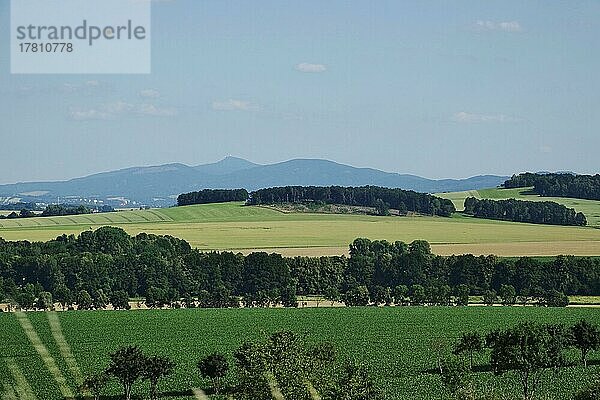 Oberlausitzer Sommerlandschaft  Oberlausitz  Sachsen  Deutschland  Europa