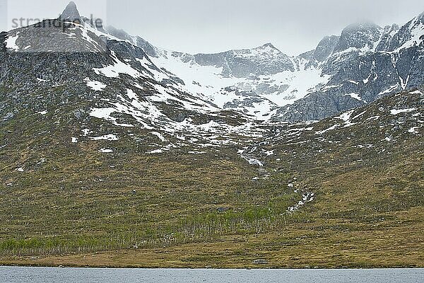 Landschaft am Nordfjordbotn  Lofoten  Norwegen  Europa