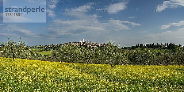 San Gimignano  Toskana  Italien  Europa