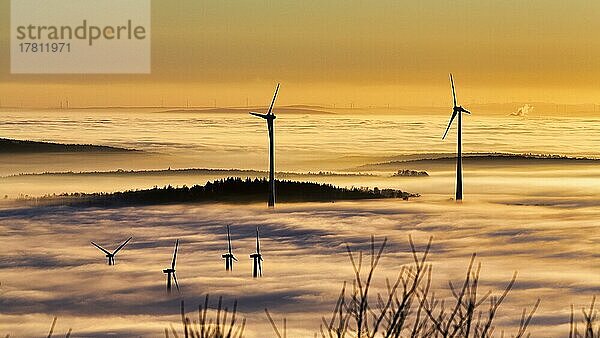 Windräder und Wald ragen aus Wolkendecke  Windkraftwerk  kahle Zweige im Winter  Silhouetten bei Sonnenuntergang  Köterberg  Lügde  Weserbergland  Nordrhein-Westfalen  Deutschland  Europa