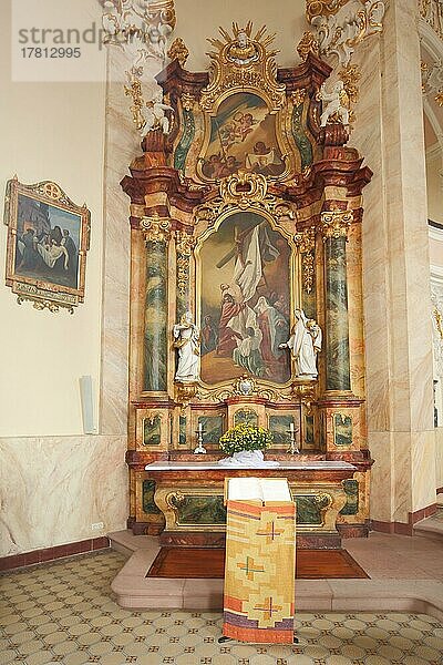 Altarraum von der prunkvollen barocken St. Martin Kirche in Riegel  Kaiserstuhl  Breisgau  Baden-Württemberg  Deutschland  Europa