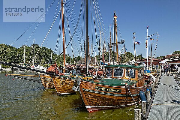 Holzboote  Hafen  Wustrow  Mecklenburg-Vorpommern  Deutschland  Europa