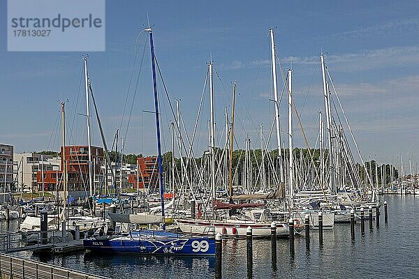 Yachthafen  Waterfront Viertel  Priwall  Travemünde  Lübeck  Schleswig-Holstein  Deutschland  Europa