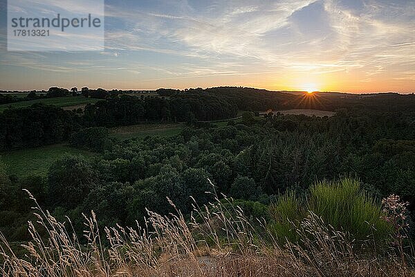 Sonnenuntergang  Bretagne Inland  Frankreich  Europa