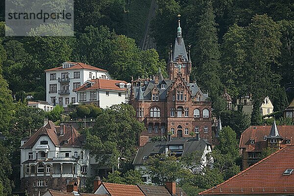 Blick auf Villen in der Altstadt  Heidelberg  Bergstraße  Baden-Württemberg  Deutschland  Europa