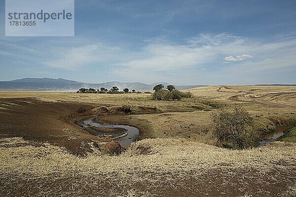 Landschaft mit Wasserloch im Ngorongoro Crater  Serengeti  Tansania  Afrika