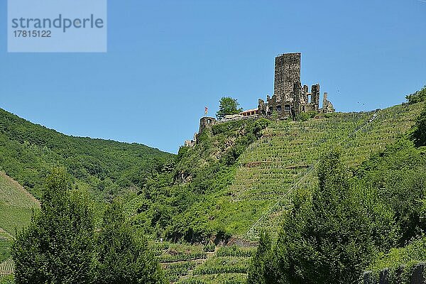 Burg Metternich in Beilstein  Mittelmosel  Mosel  Rheinland-Pfalz  Deutschland  Europa