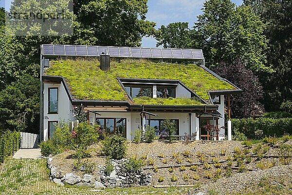 Wohnhaus mit begrünter Dachfläche und Solarpaneelen  Uhldingen-Mühlhofen  Bodensee  Baden-Württemberg  Deutschland  Europa