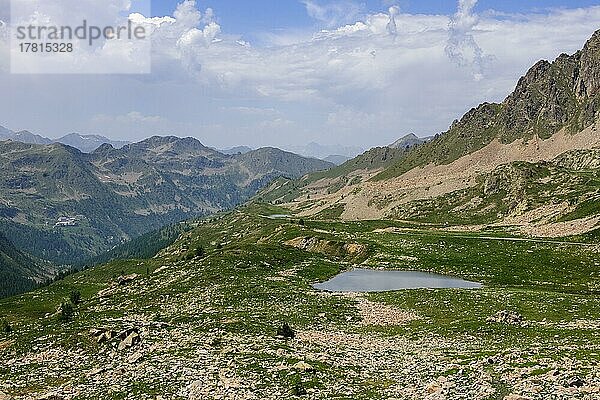 Blick auf 2350 Meter hoher Passo Lombarda Pass oberhalb von Baumgrenze an französicher italienischer Grenze  davor kleiner Bergsee  Colle della Lombarda  Region Piemont  Italien  Europa