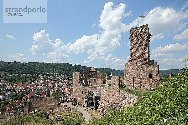 Burganlage mit Blick auf Wertheim  Main  Baden-Württemberg  Deutschland  Europa
