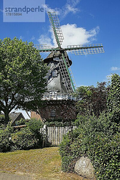 Windmühle Anna-Nanna  historische Windmühle von 1865  Typ Galerieholländer  Garlstorf  Niedersächsische Mühlenstraße  Niedersachsen  Deutschland  Europa