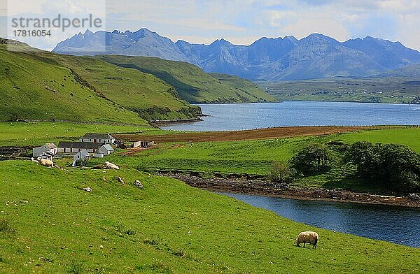 Schottland  Innere Hebriden  Isle of Skye  Duirinish Halbinsel  Landschaft am Loch Harbort