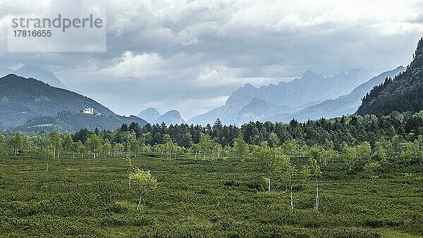 Pürgschachen Moor  Ardning  Steiermark  Österreich  Europa