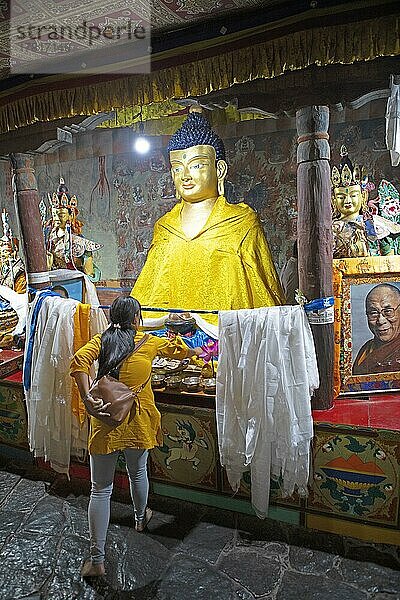 Ladakhi-Frau gibt dem Buddha Opfergaben  Kloster Thiksey oder Thikse Gompa  Ladakh  Indien  Asien