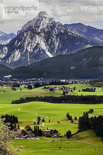 Der Säuling 2047 m und grüne Wiesen bei Füssen  Allgäu  Bayern  Deutschland  Europa