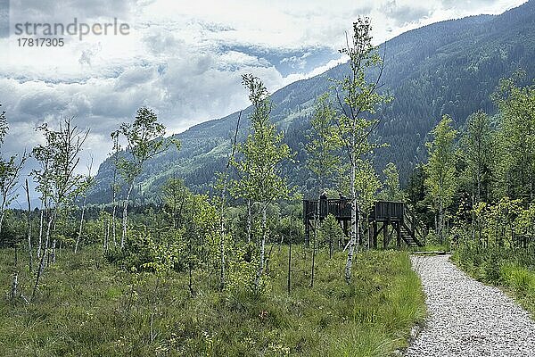 Wanderweg mit Aussichtsplattform im Pürgschachen Moor  Ardning  Steiermark  Österreich  Europa