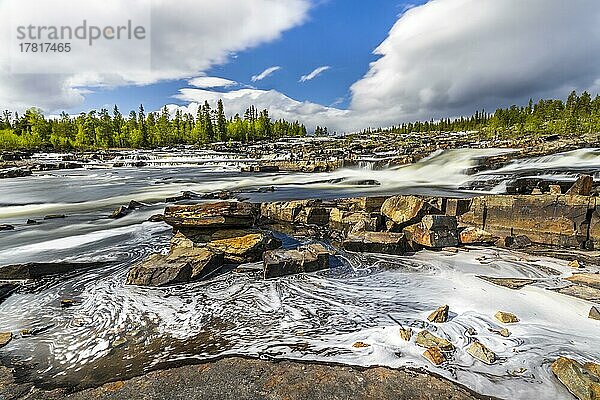 Wasserfall Trapstegforsen  Provinz Västerbottens län  Lappland  Schweden  Europa