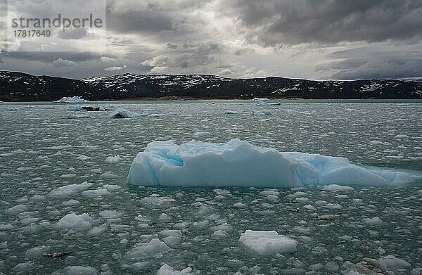 Treibeis in der Nähe des Gletschers Eqi  Grönland  Nordamerika