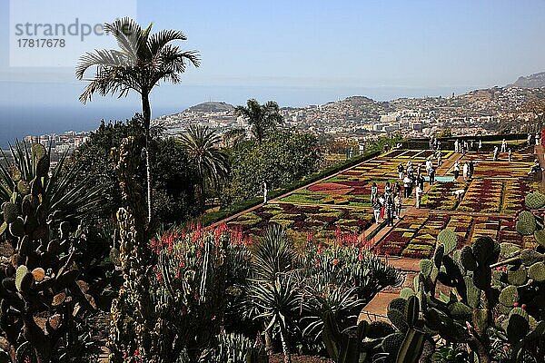 Funchal  Blick vom Tropischen Garten  Jardim Tropical Monte Palace  auf die Stadt und den Hafen  Madeira