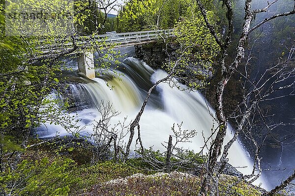 Wasserfall Hällingsafallet  Nationalpark Lierne  Provinz Jämtlands  Schweden  Europa