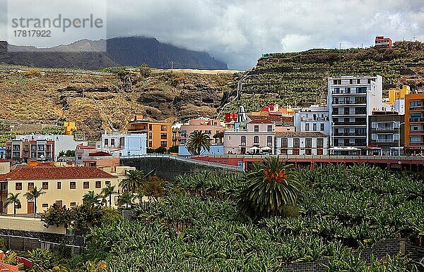 Bananenplantagen im Suedwesten der Insel bei Tazacorte  La Palma  Kanarische Insel  Spanien  Europa