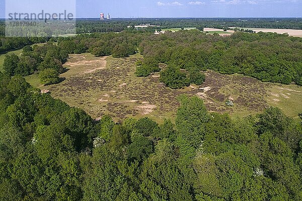 Naturschutzgebiet Borkener Paradies an der Ems  Meppen  Niedersachsen  Deutschland  Europa