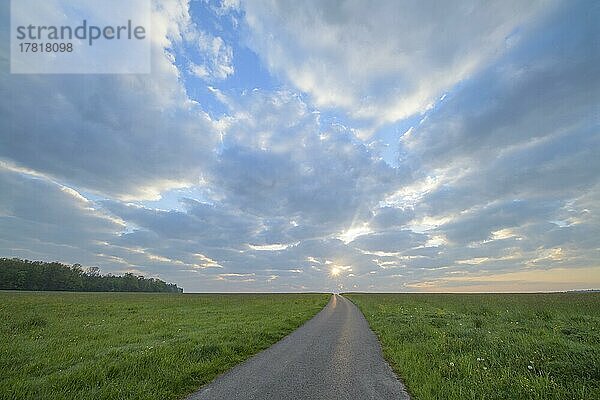 Wiese mit Straße bei Sonnenaufgang