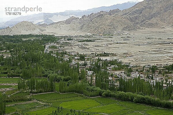 Blick auf das Indus-Tal von der Thiksey-Gompa aus  Ladakh  Indien  Asien