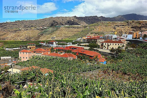 Bananenplantagen im Suedwesten der Insel bei Tazacorte  La Palma  Kanarische Insel  Spanien  Europa