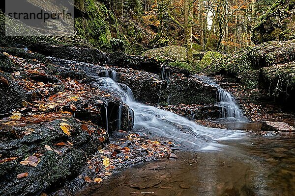 Mystischer Wasserfall im Monbachtal Schwarzwald  Deutschland  Europa