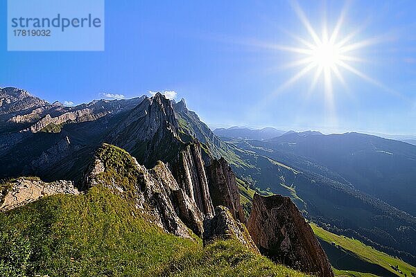 Ausblick auf das Alpsteingebirge im Appenzellerland  direktes Gegenlicht mit Sonnenstern am wolkenlosen Himmel  Kanton Appenzell Innerrhoden  Schweiz  Europa