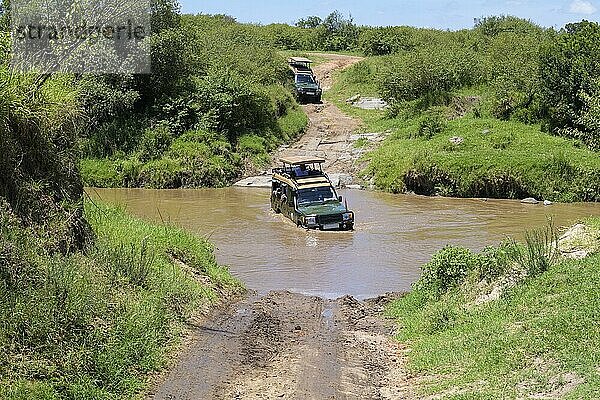 Safari-Jeep fährt durch den Fluss  Masai Mara National Reserve  Kenia  Afrika