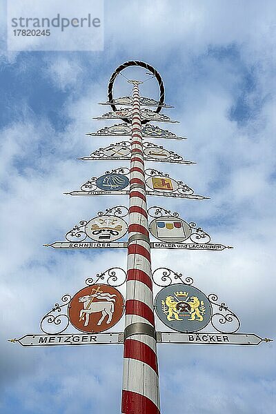 Maibaum mit Berufssymbolen auf einem Marktplatz in Bayreuth  Bayern  Deutschland  Europa