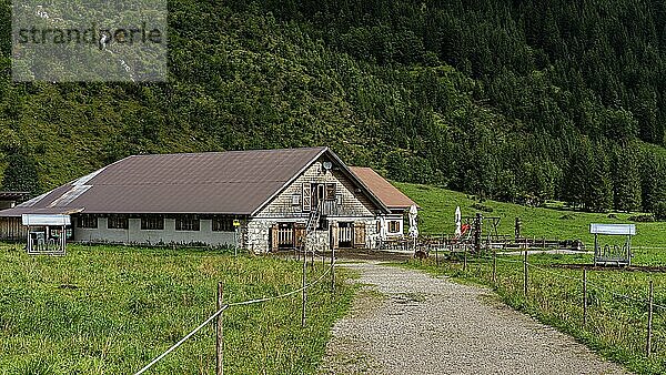Gasthof mit Kuhstall am Vilsalpsee  Tannheimer Tal  Tirol  Österreich  Europa