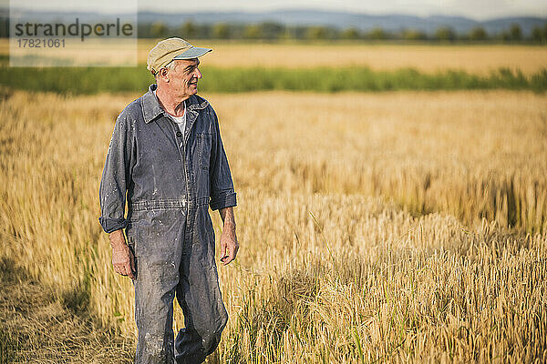 Glücklicher älterer Bauer  der auf dem Feld spaziert