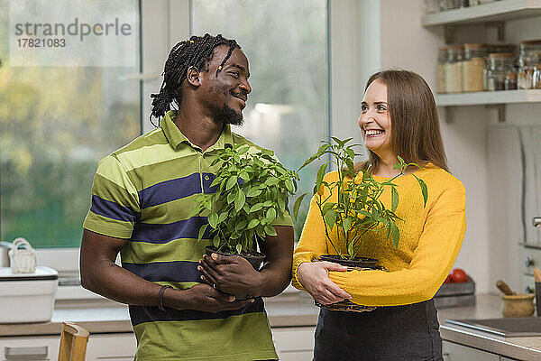 Lächelndes Paar hält Zimmerpflanzen in der Küche