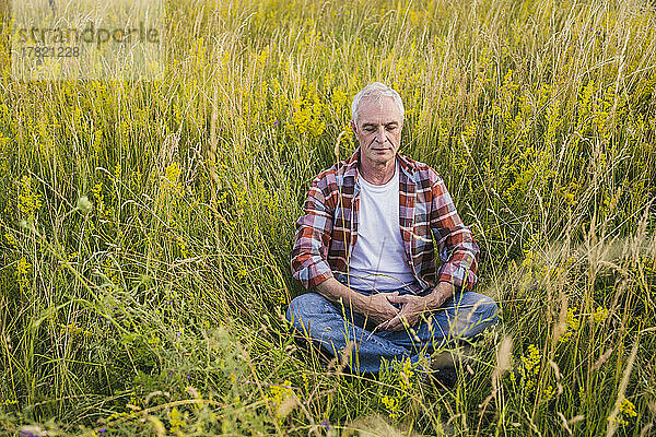 Bauer sitzt mit geschlossenen Augen inmitten von Pflanzen
