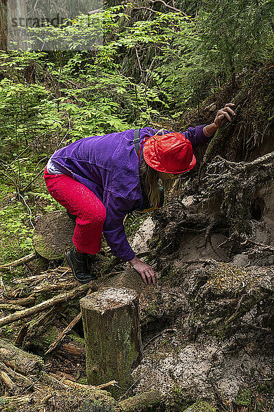 Frau untersucht Baumwurzeln im Wald