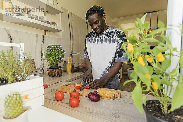 Young man cutting tomatoes in kitchen